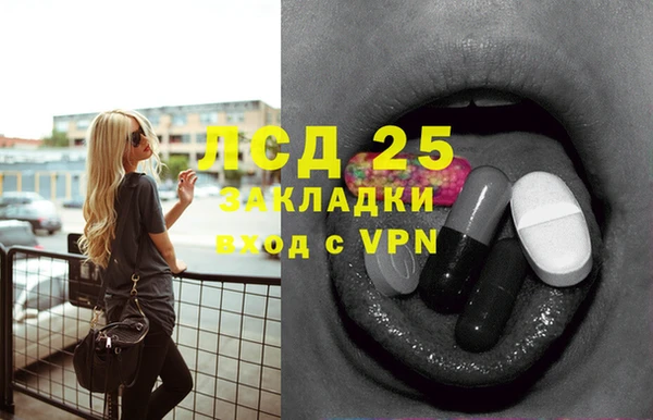 прущие грибы Алексеевка
