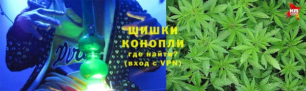 прущие грибы Алексеевка