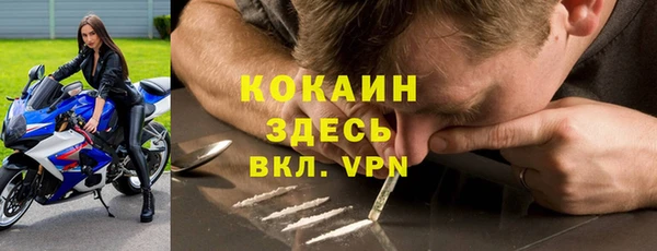 a pvp Алзамай