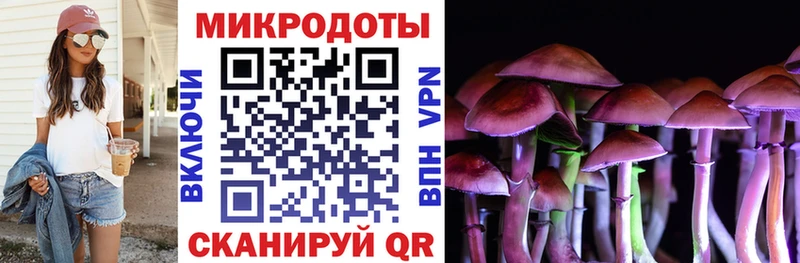 Псилоцибиновые грибы Cubensis Лагань
